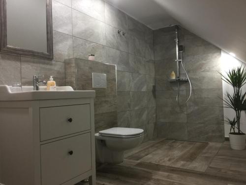 a bathroom with a toilet and a sink and a shower at Apartments Vila Cvetka Bled in Bled