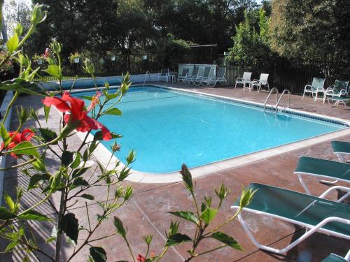 Carmel River Inn – Photos 3