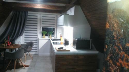 a kitchen with a sink and a counter top at Apartament Palisander in Kościelisko