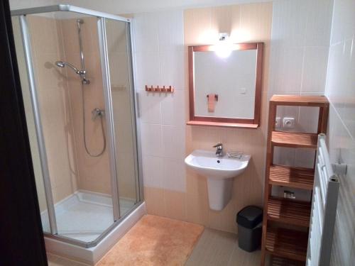 a bathroom with a shower and a sink at Apartmány Olívia a Olympia Liptov in Ružomberok