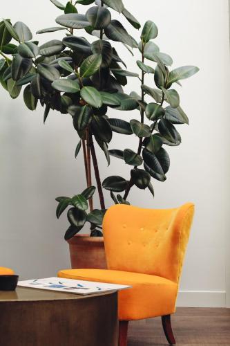 een oranje stoel naast een tafel met een plant bij The Bank Hotel in Amsterdam