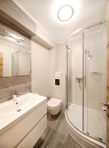 a bathroom with a sink and a toilet and a shower at Pansion Winter in Jahorina