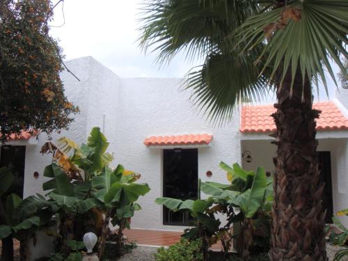 Gallery image of Oasis Hotel Bungalows Rhodes- All Inclusive in Afantou
