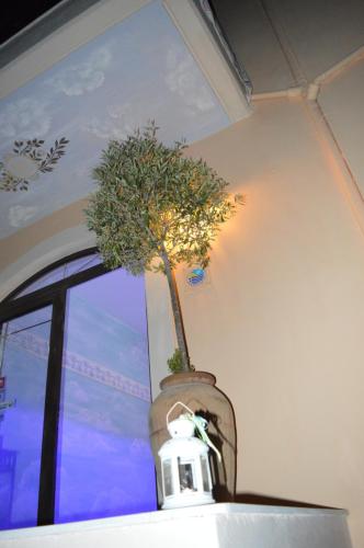 a plant in a vase on a wall with a window at Rozmari and Spa in Agia Galini