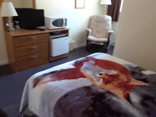 TV a/nebo společenská místnost v ubytování Mountain View Motel