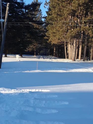 Gallery image of Mountain View Motel in Barrys Bay