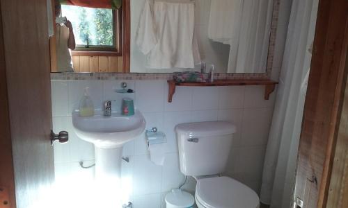 Un baño con inodoro, lavabo y espejo. en Departamentos en Alojamientos Techo Azul, en Malalcahuello