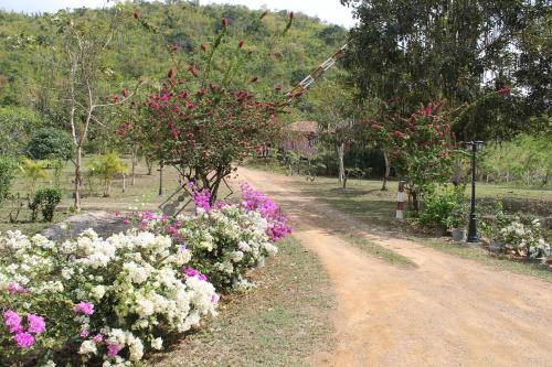 a dirt road with flowers in a garden at Kaengkachan Lake Hill in Kaeng Krachan