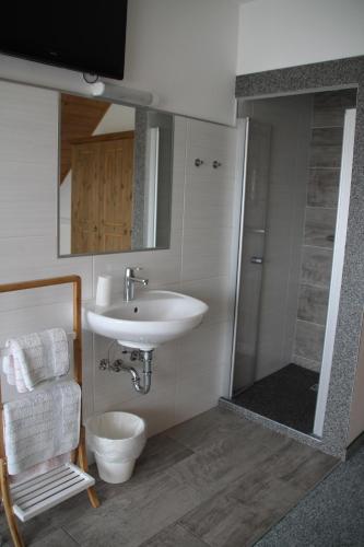 a bathroom with a sink and a toilet and a mirror at Stöffeigut in Mariapfarr