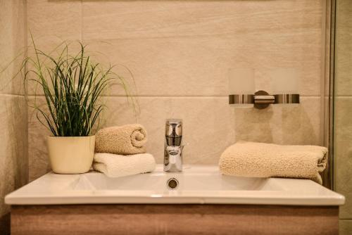 a bathroom sink with a plant on top of it at Sonn Alpin - Ferienwohnungen in Grän