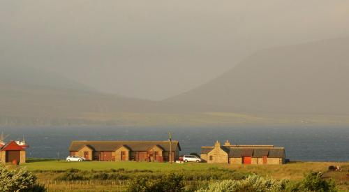 a group of houses on a field with the ocean at Buxa Farm Chalets in Orphir