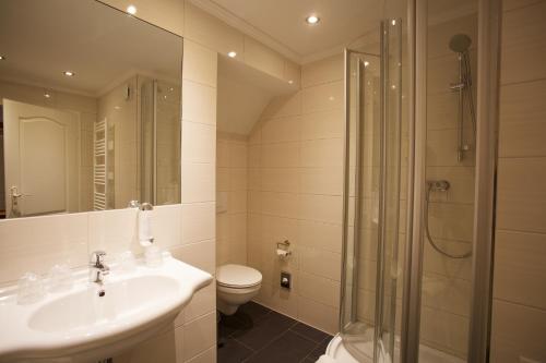 ein Bad mit einem Waschbecken, einer Dusche und einem WC in der Unterkunft Hotel Doberaner Hof in Bad Doberan