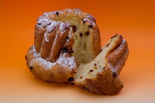 a piece of bread with powdered sugar on it at Studio des Musiciens - quartier Orangerie in Strasbourg
