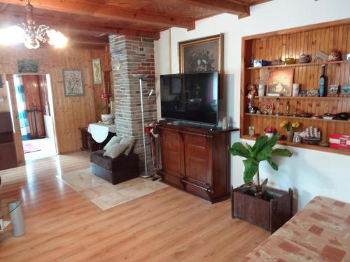 a living room with a flat screen tv and wooden floors at Penzion Tony-APP Beroun in Beroun