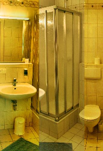 a bathroom with a shower and a sink and a toilet at Braunschweiger Hof in Münchberg