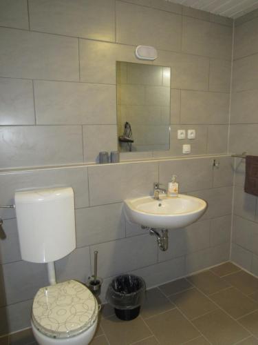 La salle de bains est pourvue de toilettes et d'un lavabo. dans l'établissement Ferienapartments am Dorfplatz, à Langscheid