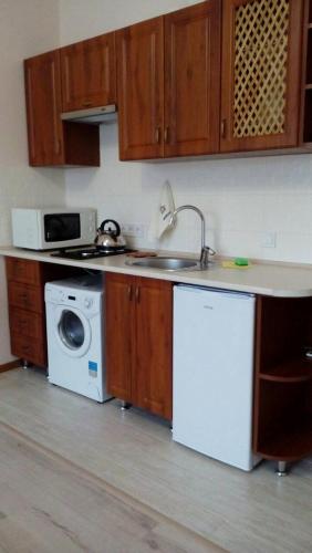 a kitchen with a sink and a washing machine at Polyana Apart in Polyana