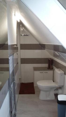 a bathroom with a toilet under a staircase at Zum Buddje in Garz-Rügen