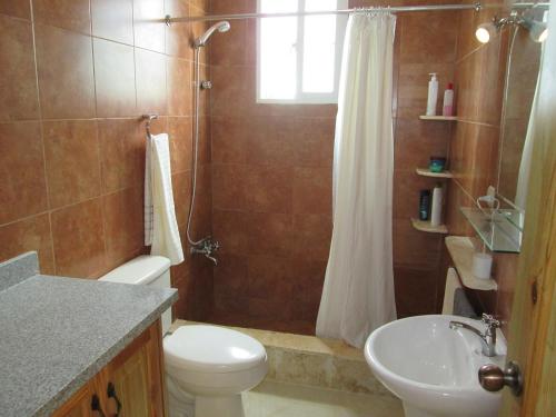 a bathroom with a toilet and a sink and a shower at Villa Mambo in Patrana