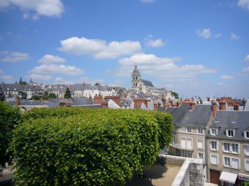a view of a city with buildings and a hedge at ibis Blois Centre Château in Blois