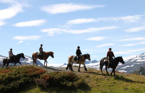 a group of people riding horses on a hill at Bygdin Høyfjellshotell in Beitostøl