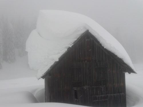 a pile of snow on top of a cabin at Residence La Pineta in Padola