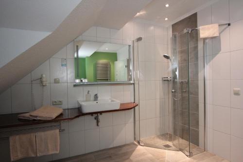 La salle de bains est pourvue d'un lavabo et d'une douche. dans l'établissement Ryck-Hotel Garni, à Greifswald