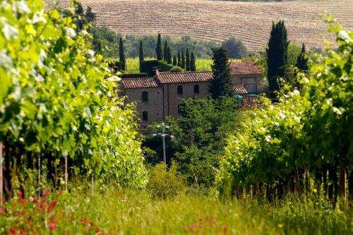a building in the middle of a field of trees at Rocca degli Olivi in San Gimignano