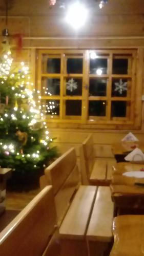 a living room with a christmas tree in a room at Góralska Czarcia Chata pod Jałowcem in Stryszawa
