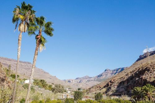 two palm trees in front of a mountain at Time To Experience in Salobre