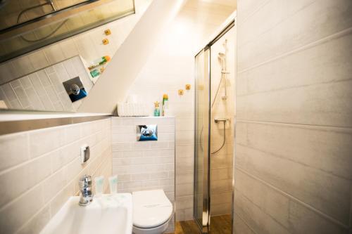 a bathroom with a shower and a toilet and a sink at H&T Apartament przy Starym Żurawiu in Gdańsk