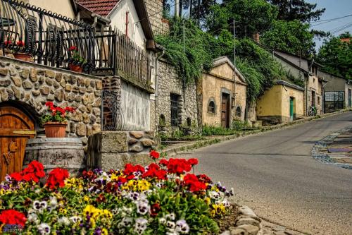 a street with flowers on the side of a building at Albina apartman in Eger