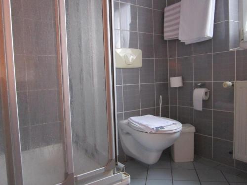 a bathroom with a toilet and a shower at Gasthaus Neupert in Lemberg