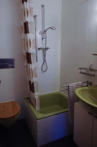 een badkamer met een douche, een bad en een wastafel bij Ferienwohnung Waldgimpel Schmitten in Schmitten