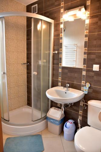 a bathroom with a shower and a sink and a toilet at Cichy Kącik w Karpaczu in Karpacz