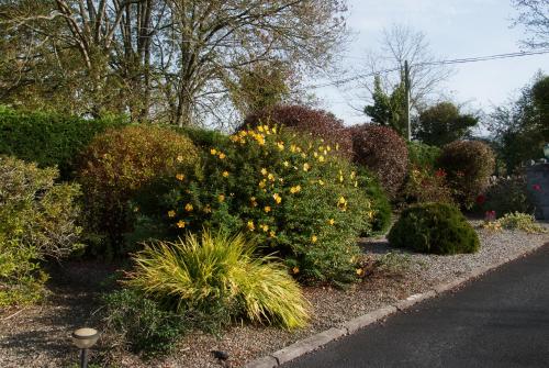Galería fotográfica de Innisfree B&B en Bunratty