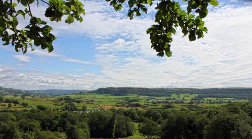 a view of the rolling green hills and trees at Mason's Arms in Bowland Bridge