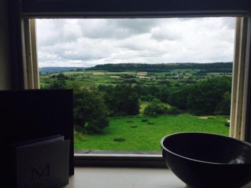 a bowl sitting in front of a window with a view at Mason's Arms in Bowland Bridge
