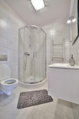 a bathroom with a shower and a toilet and a rug at Noclegi u Nawary in Rabka