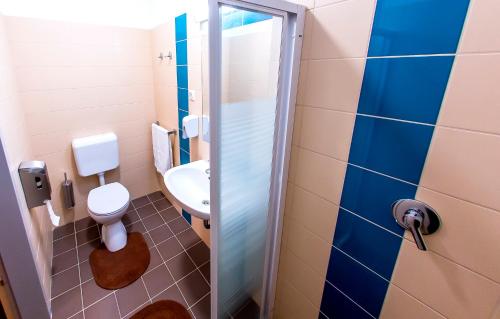 a bathroom with a toilet and a sink at CVSE Clubház és Panzió in Cegléd