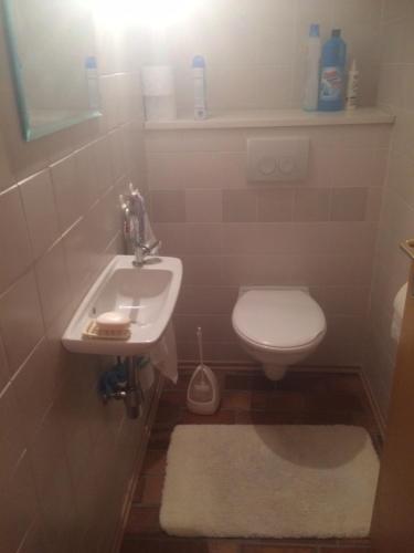 La petite salle de bains est pourvue d'un lavabo et de toilettes. dans l'établissement schones Zimmer in Gimmeldingen/ Konigsbach, à Neustadt an der Weinstraße