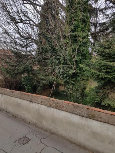 a concrete retaining wall with a tree and bushes at La Corte B&B in Candiolo