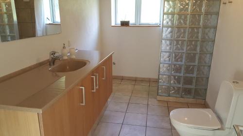 a bathroom with a sink and a toilet and a mirror at Vestervang Bed & Breakfast in Vildbjerg