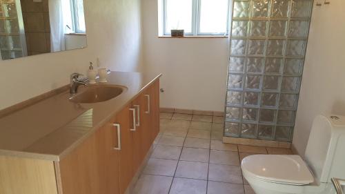 La salle de bains est pourvue d'un lavabo, de toilettes et d'un miroir. dans l'établissement Vestervang Bed & Breakfast, à Vildbjerg