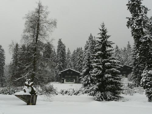 a house covered in snow in front of trees at Apartman Forstamt Glatzen Kladska in Mariánské Lázně