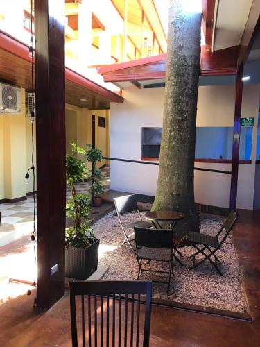 a room with chairs and a tree in the middle at Hotel Castillo in San José