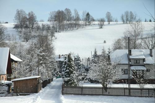 ヴィスワにあるApartament Premium Deluxの雪に覆われた庭と木々と家