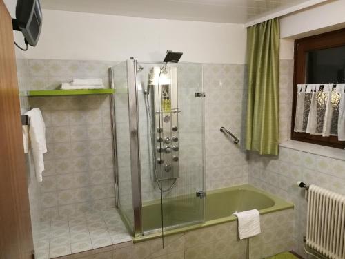 a bathroom with a shower with a green tub at Angi's Apartment in Sankt Lorenzen ob Murau