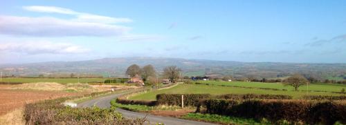 a winding road in the middle of a field at Redroofs in Tenbury