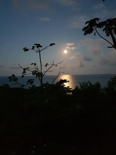 a sunset over the ocean with a tree in the foreground at Punta Marenco Lodge in Drake